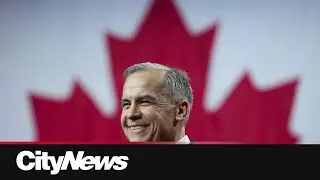 2025 Biz Recap: Trump's tariffs shake Canadian economy