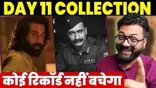 Animal Day 11 Worldwide Box Office Collection Animal Box Office Collection India Sam Bahdur Collecti