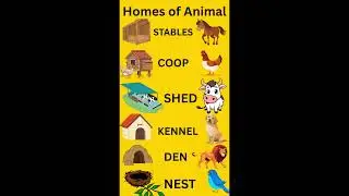 Homes of Animal | Alpha.knowledge| #education #easylearning #youtube #youtubeshorts