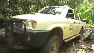 Mapinguari National Park - The Cerrado inside Brazilian Amazon
