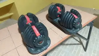 Mike  Channel  Morning Papawis  with Bowflex Select Tech 552 Adjustable Dumbbells