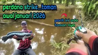 STRIKE TOMAN ‼️di parit sawit awal januari 2026
