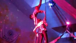 Goni & Tammuz Hanging Perch