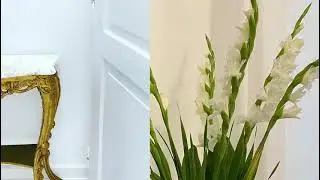 Swiss Cosmetic Celeste & Swiss Aesthetic Vorberg Seefeldstrasse 92 Z&uuml;rich