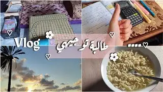 طالبة توجيهي في غزة (كيف أدرس؟) ||vlog with Razan