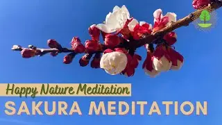 Guided Sakura Meditation [10 Minutes]