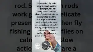 What is a Slow Action Fly Rod