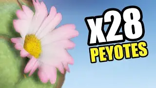 &iquest;D&oacute;nde encontrar TODOS LOS PEYOTES? GTA 5