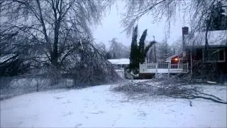 Ice Storm Morning After - 12/22/2013 - Lansing Michigan Dewitt Township Severe Tree Damage