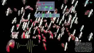MRillustrated - Diffusion 1: The b Value