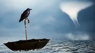 Lost Crow | Fantasy Surreal Scene | Photoshop Tutorial | Photo Manipulation