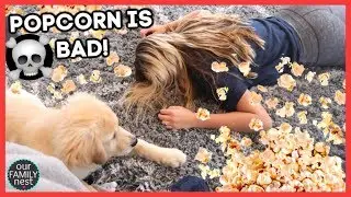 POPCORN CAN KILL YOU & YOUR DOG WON'T SAVE YOU!