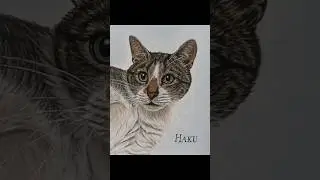 Pastel Portrait of Haku