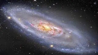 Please Pass the Salt - How Salt-Loving Bacteria are Being Used for Vaccines and Astrobiology