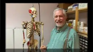 Boost immune system with osteopathic lymphatic treatment