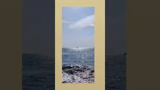 blue hai pani pani #konkanpremi #nivatibeach #shortvideo #music #nature #beautiful