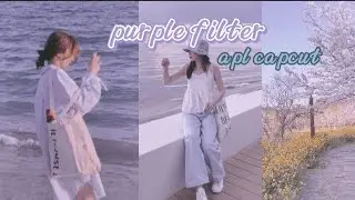 purple filter preset || capcut filter preset #purplefilterpreset