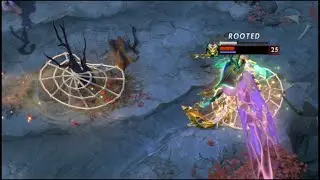 rooted for 24 seconds (World record?)