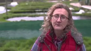 Goatsbridge Trout Farm