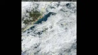 Arrival of rain bands from low-level northeasterly and upper-level southwesterly on 31 Jan 2025