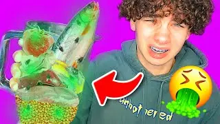 THE ULTIMATE DISGUSTING SMOOTHIE CHALLENGE *PUKE WARNING*