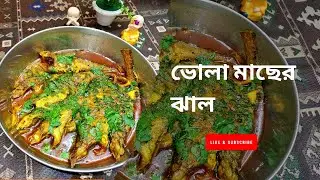 ঝাল ঝাল ভোলা মাছের ঝাল 🤤|| গরম ভাতের সেরা সঙ্গী|#recipe