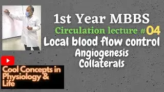 4. CIRCULATION: Local blood flow control |Angiogenesis |Collaterals | 1st year MBBS Physiology: