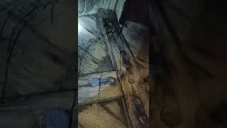 Wood defect