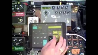 Lemur and Guitar Rigs: Granular Looping with the Strymon Timeline