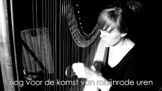 de nacht ontfermt zich over mij - harp - harpist - anne van schothorst - poet/dichter - danny danker