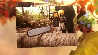 Tree Cutting Contractor Marietta, GA  (770) 203-1176
