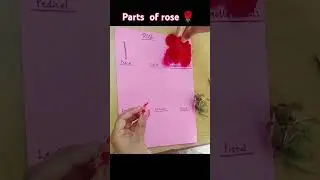 Rose dissection