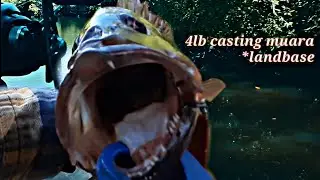 landbase casting 4lb - muara balikpapan | daimaru shad dad