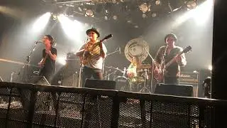 THE BOIN BOINS ザ・ボインボインズ　ステイフリー