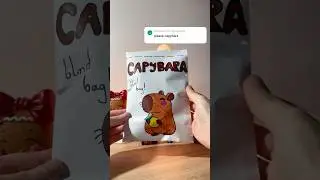 Capybara blind bag! #blindbag #diy #papercraft #unboxing #capybara #music #fyp #hiphop #rap #viral
