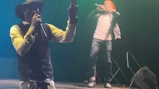 Terry Ganzie is di Baddest OutLaw, Nature Ellis Lit Mobay Wit All his Hits, Live Performance