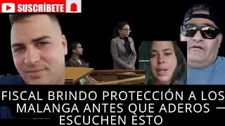 Fiscal&iacute;a brind&oacute; protecci&oacute;n a todos los malangas excepto a addere rosa escuche