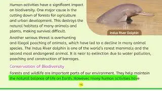 Science 5 Class STEM Series Topic 4 | Biodiversity