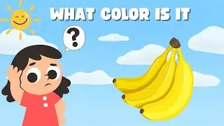 Color Quiz for Kids