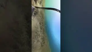 Very clear water #shorts  #nature #underwater #fishing #underwatervideo #underwatershots #clearwater