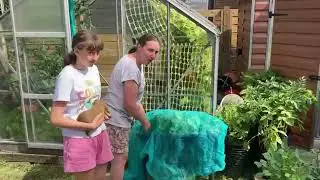 Our Garden   Home Grown