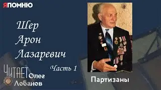 Шер Арон Лазаревич. Часть 1. Проект 