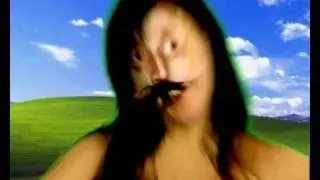 Window Licker