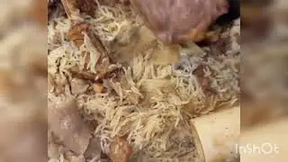 🔥 Arabic Food Challenge 🍖 Full Lamb Mandi & Rice | Arabic Traditional Feast 🇸🇦 | Arabic Food Lovers