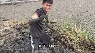 家人們！今兒抓鱔開局直接拉滿刺激，剛上手就整到大活，還好後面越挖越多，直接開啓爆貨模式，太過癮了！#fishing #大熱門