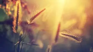Daughter - Drift (Etched Remix)