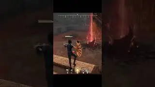 ⚔️ Once Upon a Time in Naraka Bladepoint... | Lavioxel Shorts