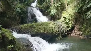 Nature sound | Best peacefull sound #forestriver #forestsound #waterfallsound