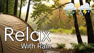 ⛈️Forest Rain Ambience – Gentle Leaf Drips for Deep Sleep & Relaxation