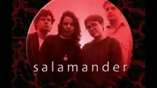 Salamander - Hand Glides (featuring Rachel & Petra Haden of That Dog)  *Audio*